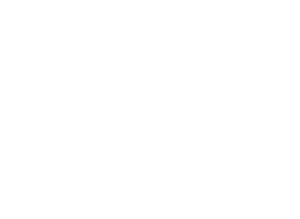 Logo_Ruhewald_weiss.png